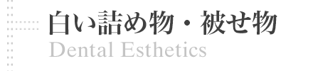 白い詰め物・被せ物 | Dental Esthetics 