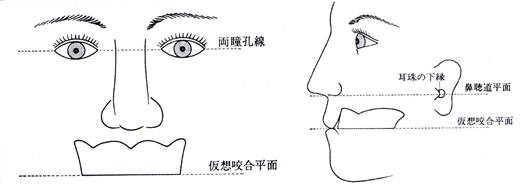 噛み合わせの図