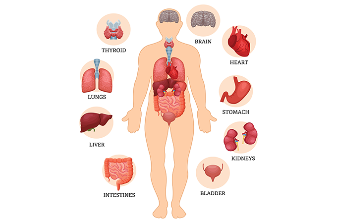 歯周病との関連性