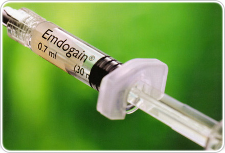 歯周組織「再生」療法